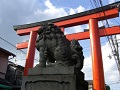 Kyoto Imamiya Jinja